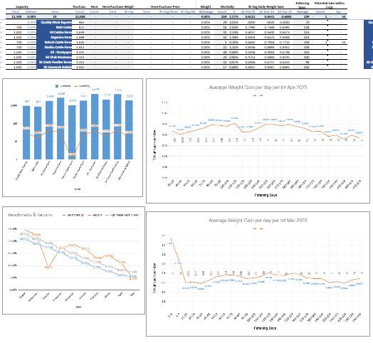 dashboard 1122